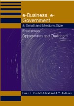 E-Commerce as a Business Enabler for Small and Medium Size Enterprises: Issues and Perspectives from Singapore