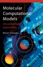 State Transition Dynamics: Basic Concepts and Molecular Computing Perspectives