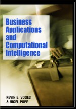 Making Decisions with Data: Using Computational Intelligence within a Business Environment