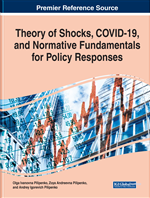 Theory of Shocks, COVID-19, and Normative Fundamentals for Policy Responses