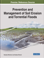 Natural Disasters and Risk Management: A Theoretical Overview