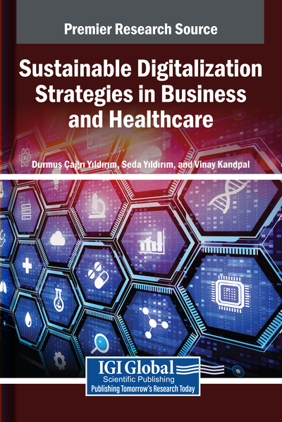 Sustainable Digitalization Strategies in Business and Healthcare