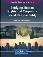 Theorizing the Synergy Between NGOs, Human Rights, and Corporate Social Responsibility: A Conceptual Framework for Sustainable Development