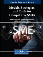 Innovative Strategies for Enhancing SME Competitiveness in Emerging Economies