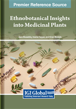 Ethnobotanical Insights Into the Bioactive Properties of Commercially Important Spice Seeds