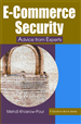 Rethinking E-Commerce Security in the Digital Economy: A Pragmatic and Strategic Perspective