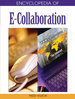 Scenarios for E-Collaboration are Only Part of the Story