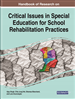 Inclusive Education and Universal Design for Learning: A Road Map for Rehabilitation Professionals
