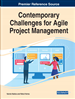 Project Success Criteria, Critical Success Factors (CSF), and Agile Projects